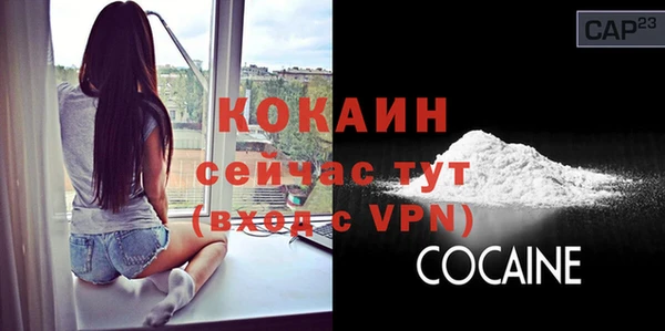 индика Пересвет