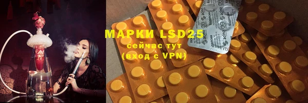 индика Пересвет