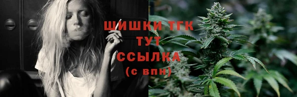 тгк Пестово