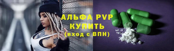 индика Пересвет