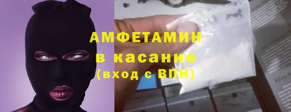 индика Пересвет