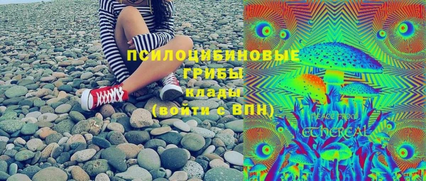 тгк Пестово