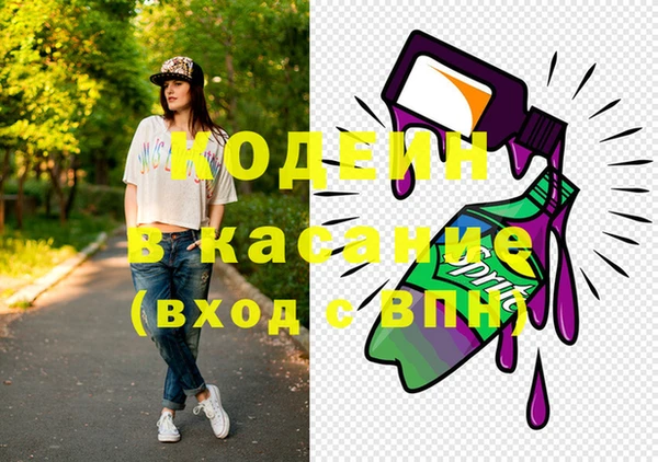 индика Пересвет