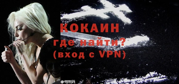 индика Пересвет