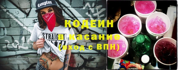 индика Пересвет