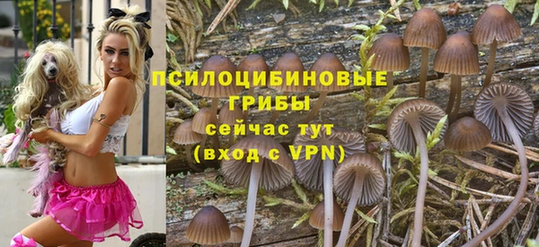 тгк Пестово